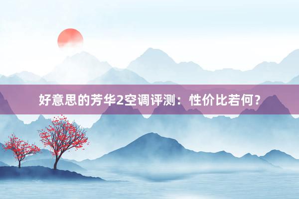 好意思的芳华2空调评测：性价比若何？